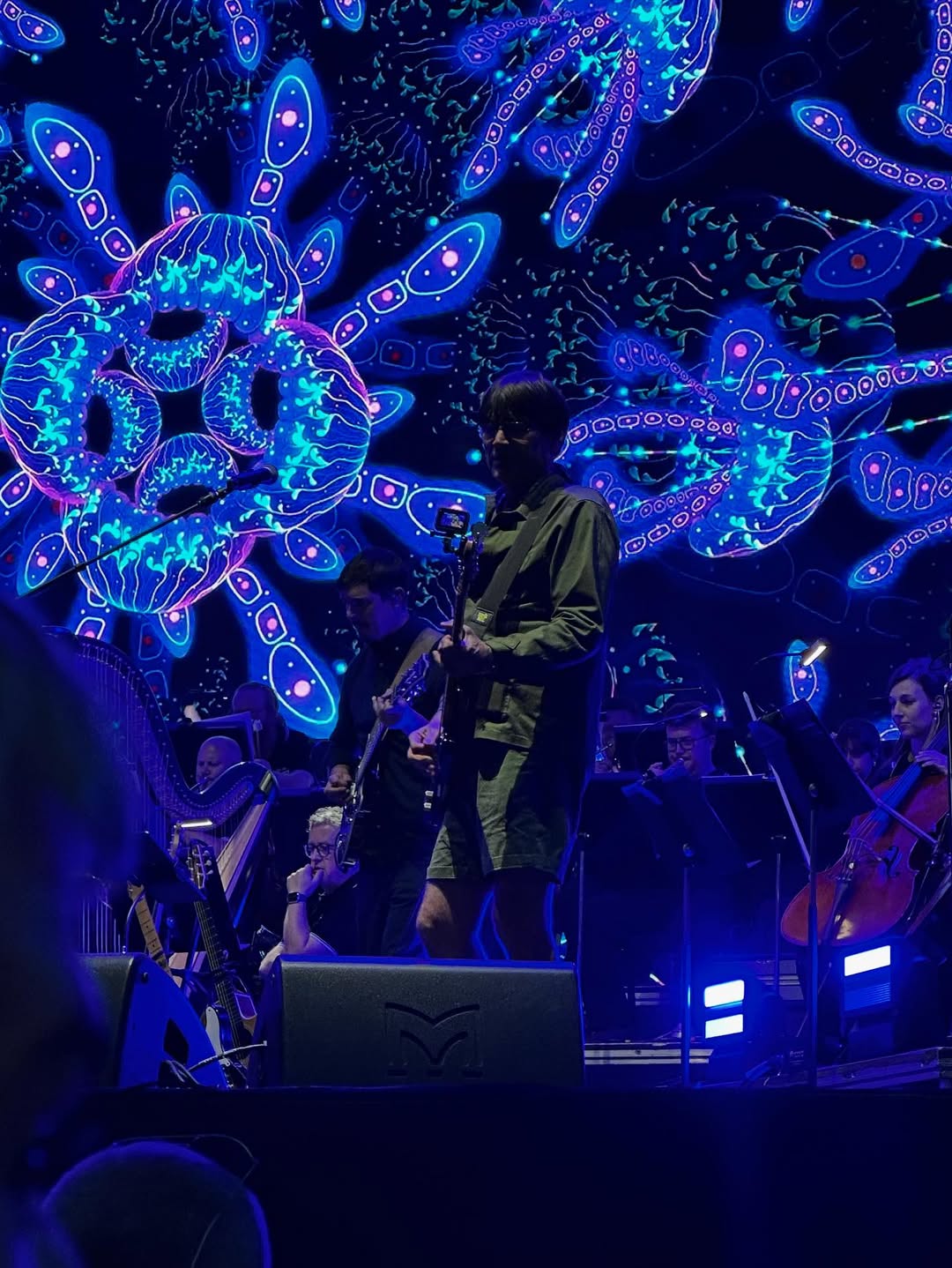 Alex James’ Britpop Classical